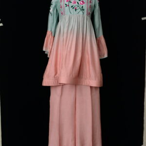 2 Piece - Embroidered Cotton net Suit